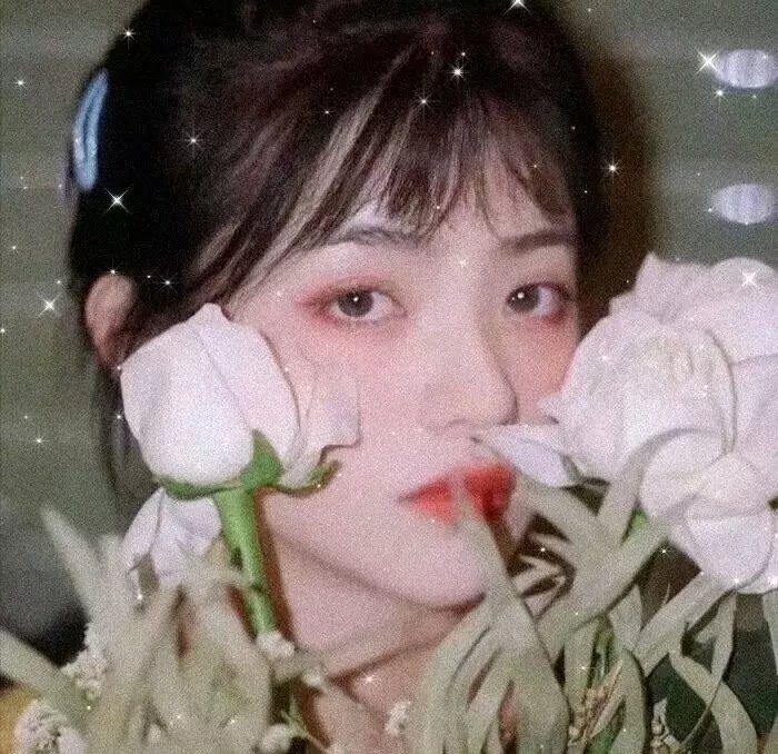 蜜丝炸弹